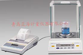 BT系列准微量、分析、精密天平